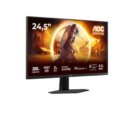 AOC G4 25G4SRE 24.5 colių kompiuterio monitorius Full HD