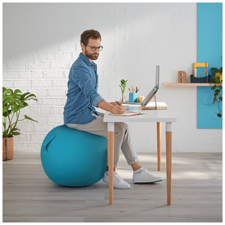 Leitz Ergo Cosy Mėlyna Vidaus Turas