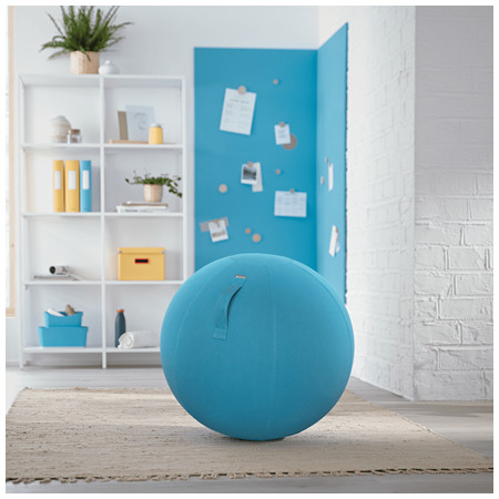 Leitz Ergo Cosy Mėlyna Vidaus Turas