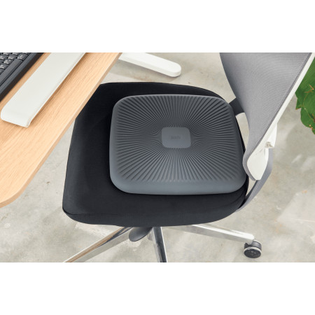 Leitz 65390089 pusiausvyros treniruoklis pilkas