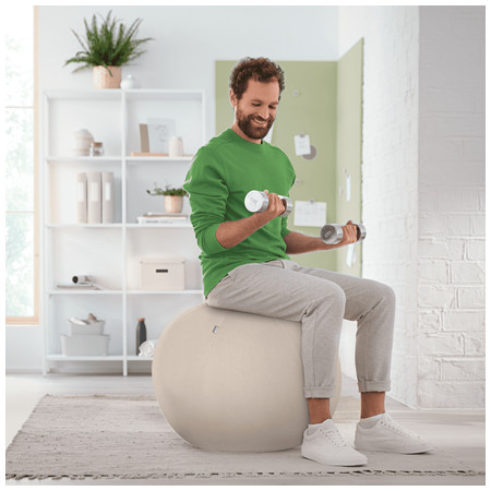 Leitz Ergo 65 cm gimnastikos kamuolys Pilka