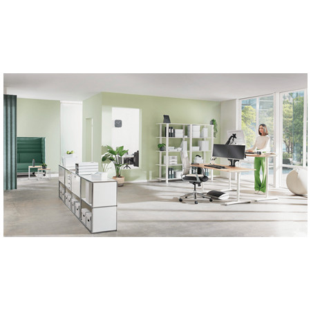 Leitz Ergo 65 cm gimnastikos kamuolys Pilka