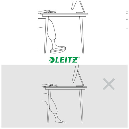 Leitz Ergo Pilka
