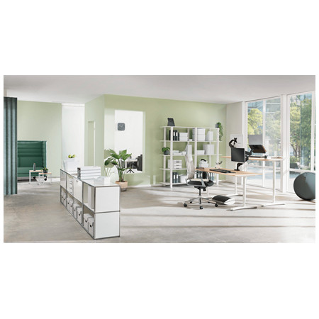 Leitz Ergo Reguliuojamas Monitoriaus Stovas 68,6 cm (27") Pilka