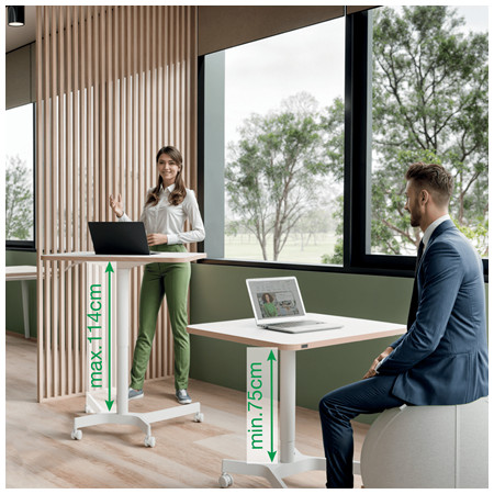 Leitz Stovimasis stalas Balta