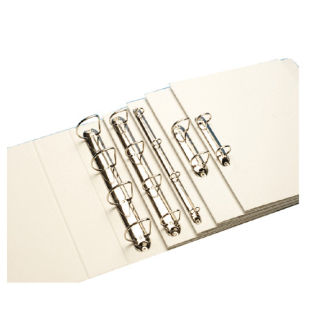 Leitz 42850001 žiedinis segtuvas A4 Baltas