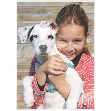 Leitz 7493 Organizatorius