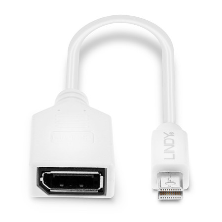 Lindy DisplayPort Kabelis 0,15 m Mini DisplayPort