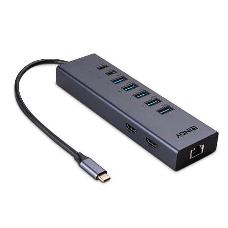 USB-C/DST-MINI DUO I/O DOKINGO STOTELĖ LINDY