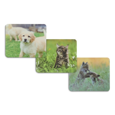 Hama Gyvūnų Multi spalvų pelės kilimėlis