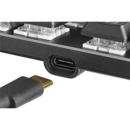 Deltaco DK420 TKL Mechaninė Žaidimų Klaviatūra Juoda