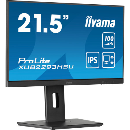 iiyama ProLite XUB2293HSU-B7 21.5 colio kompiuterio monitorius
