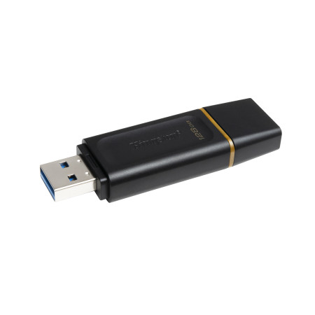 Kingston DataTraveler Exodia USB atmintukas 128 GB