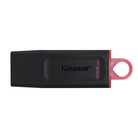 Kingston DataTraveler Exodia USB atmintukas 256 GB