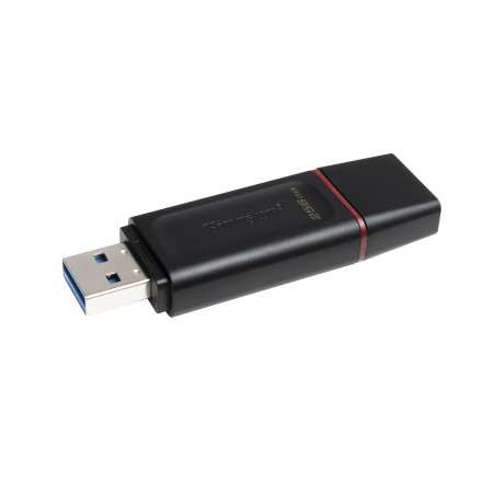Kingston DataTraveler Exodia USB atmintukas 256 GB