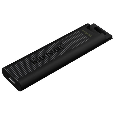 Kingston DataTraveler Max USB atmintukas 256 GB C tipo