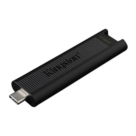 Kingston DataTraveler Max USB atmintukas 256 GB C tipo