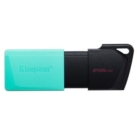 Kingston DataTraveler Exodia M 256GB USB atmintukas