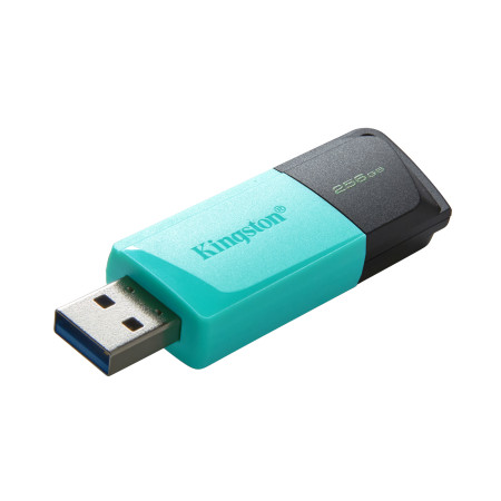 Kingston DataTraveler Exodia M 256GB USB atmintukas