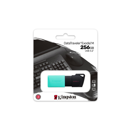 Kingston DataTraveler Exodia M 256GB USB atmintukas