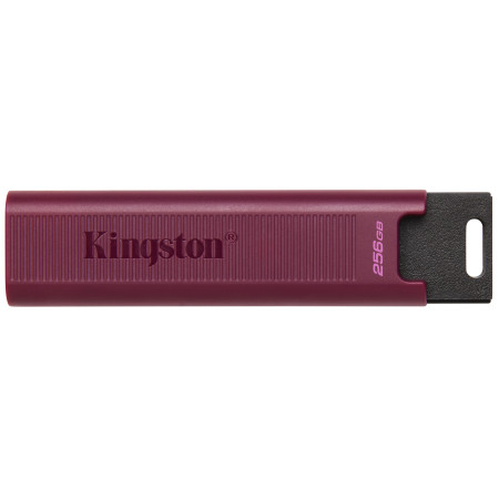 Kingston Technology DataTraveler Max USB atmintukas 256 GB