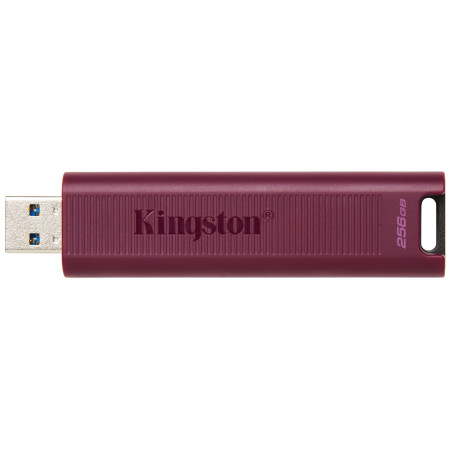 Kingston Technology DataTraveler Max USB atmintukas 256 GB