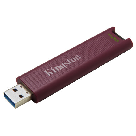 Kingston Technology DataTraveler Max USB atmintukas 256 GB