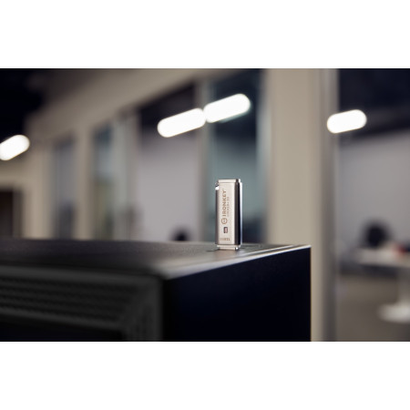 Kingston 128GB IronKey Locker+ 50 USB atmintinė
