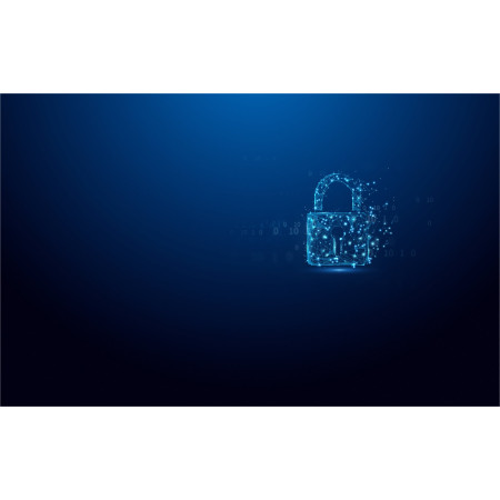 Kingston IronKey Vault Privacy 50 USB atmintukas 32 GB