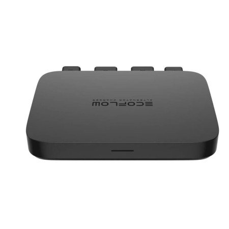 ECOFLOW 800W Automobilinis Generatorius