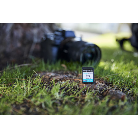 Kingston SDXC Canvas Go Plus Gen4 1TB C10 UHS-I U3 V30