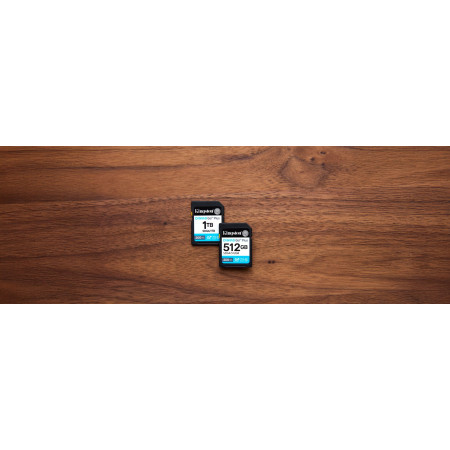 Kingston SDXC Canvas Go Plus Gen4 1TB C10 UHS-I U3 V30