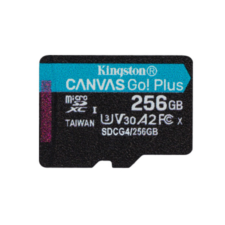 Kingston Technology Canvas Go! Plus 256 GB MicroSD UHS-I Klasės 10