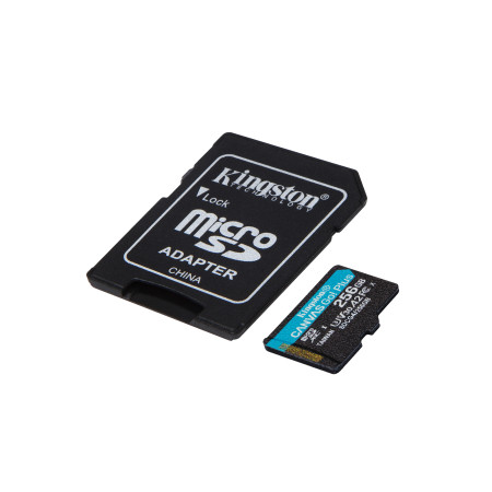 Kingston Technology Canvas Go! Plus 256 GB MicroSD UHS-I Klasės 10