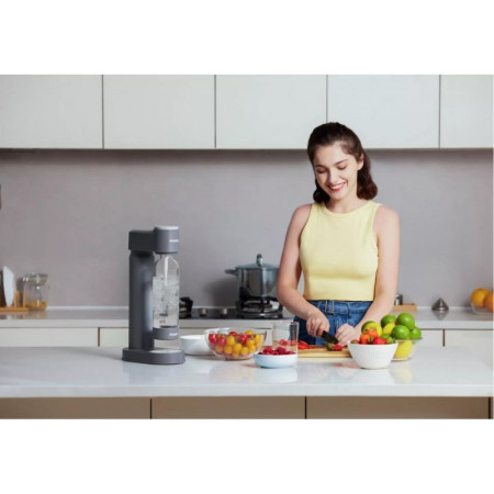 Philips gėrimų prisotinimo angliarūgšte aparatas, Sidabras