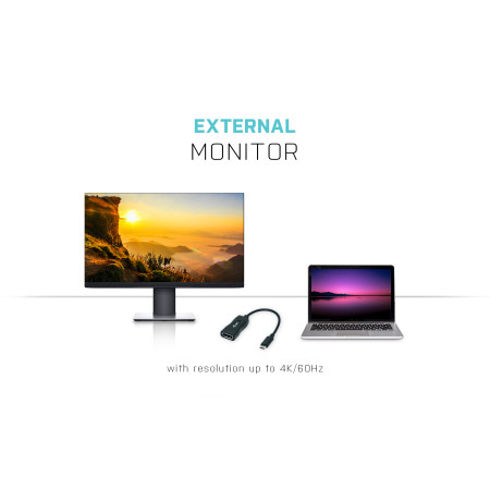 i-tec USB-C į Display Port vaizdo adapteris 60Hz 1x Display Port 4K Ultra HD