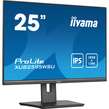 iiyama ProLite XUB2595WSU-B5 kompiuterio monitorius 25"