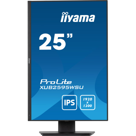 iiyama ProLite XUB2595WSU-B5 kompiuterio monitorius 25"