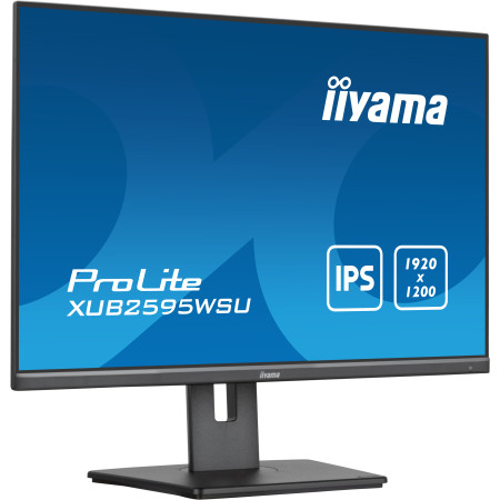 iiyama ProLite XUB2595WSU-B5 kompiuterio monitorius 25"