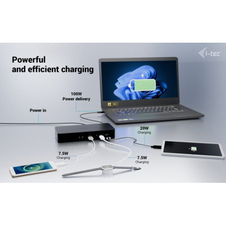 i-tec Universalus Išmanusis Dvigubas Ekrano Dokas 100W