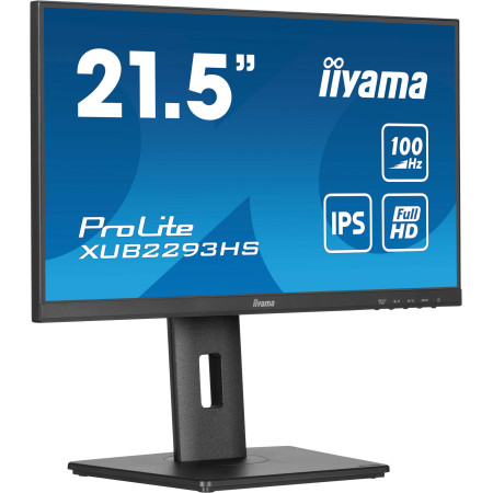 iiyama ProLite XUB2293HS-B6 kompiuterio monitorius