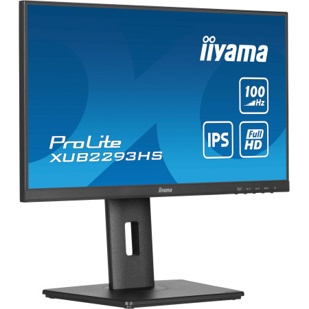 iiyama ProLite XUB2293HS-B6 kompiuterio monitorius