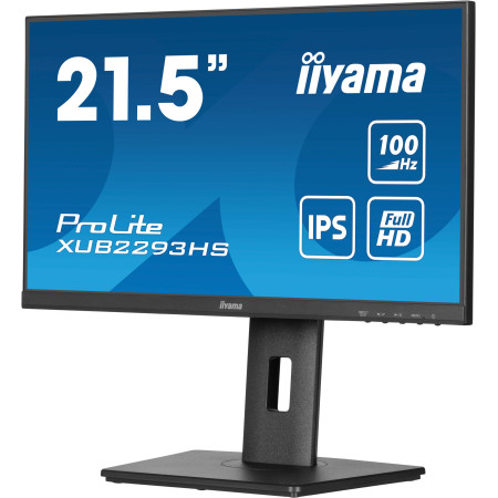 iiyama ProLite XUB2293HS-B6 kompiuterio monitorius