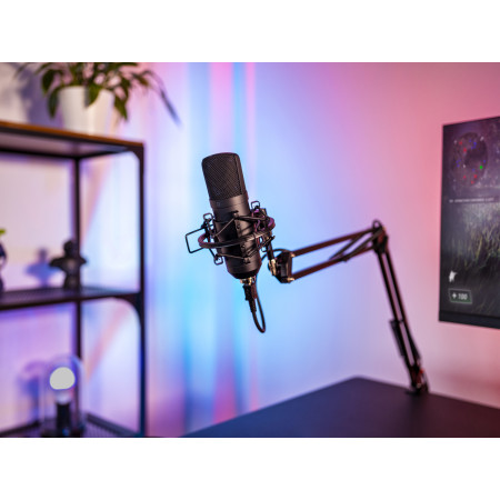 Trust GXT 253 Emita mikrofono stovas