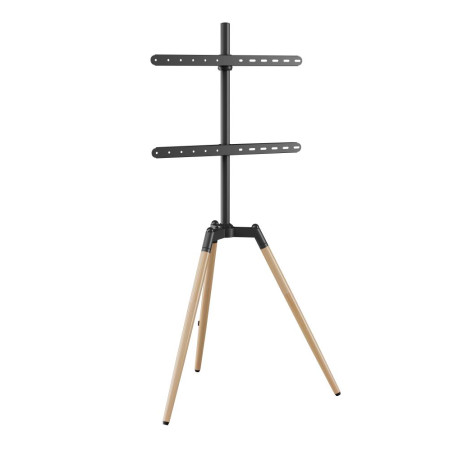 GEMBIRD TV stovas ant grindų 32-65"/TRIPOD TVS-65S-01