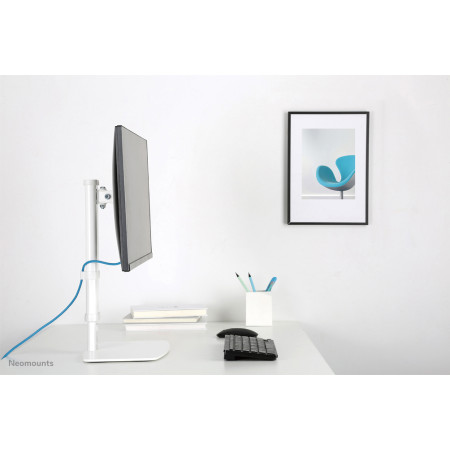 Neomounts monitoriaus laikiklis 30" balta FPMA-D890WHITE