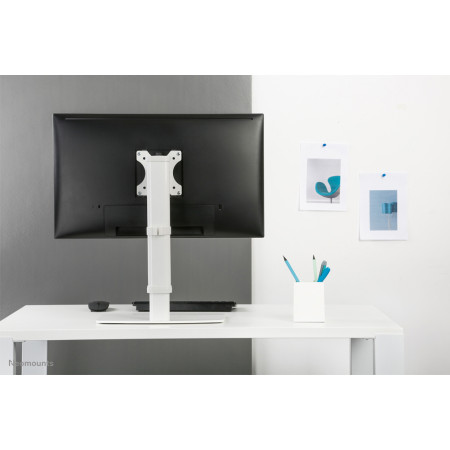 Neomounts monitoriaus laikiklis 30" balta FPMA-D890WHITE