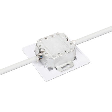 Intellinet RJ45 Cat6 10G jungtis, 2xRJ45, 80x80mm, balta