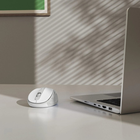 Hama WM-400 belaidė kompiuterio pelė dešinės rankos