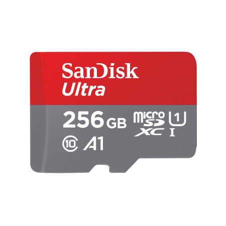 SanDisk 256GB Micro SDXC UHS-I atminties kortelė